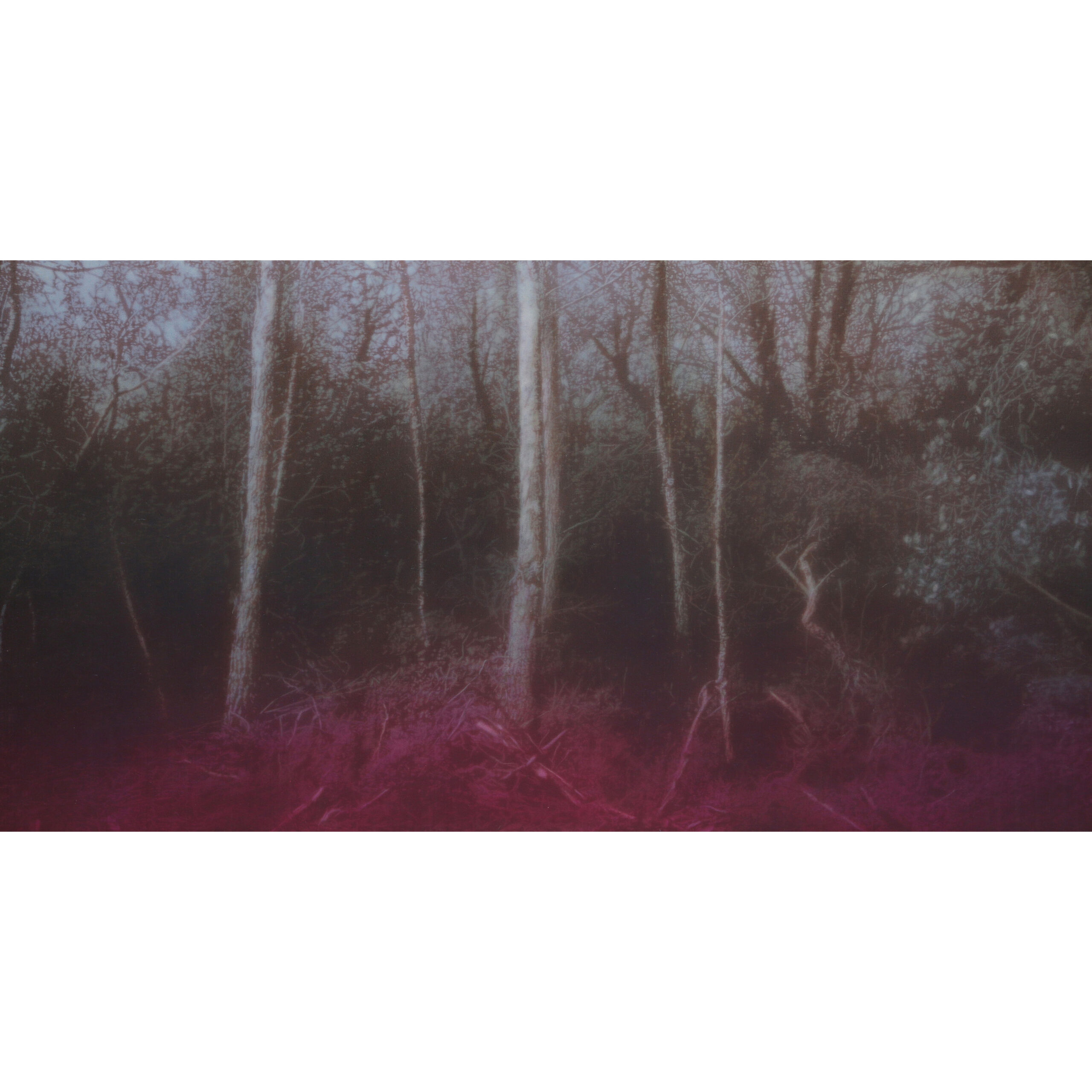 JEAN_MARC_AMIGUES_60x120cm